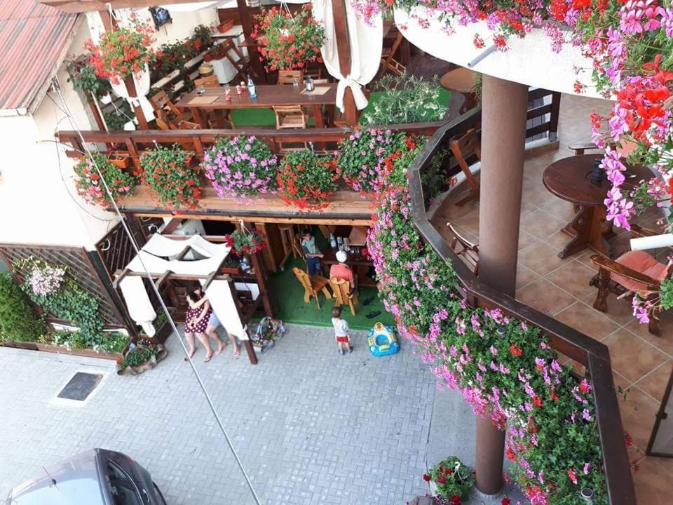 Pensiunea Daiana Navodari Ngoại thất bức ảnh